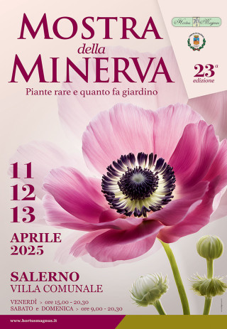 A Salerno La Mostra della Minerva